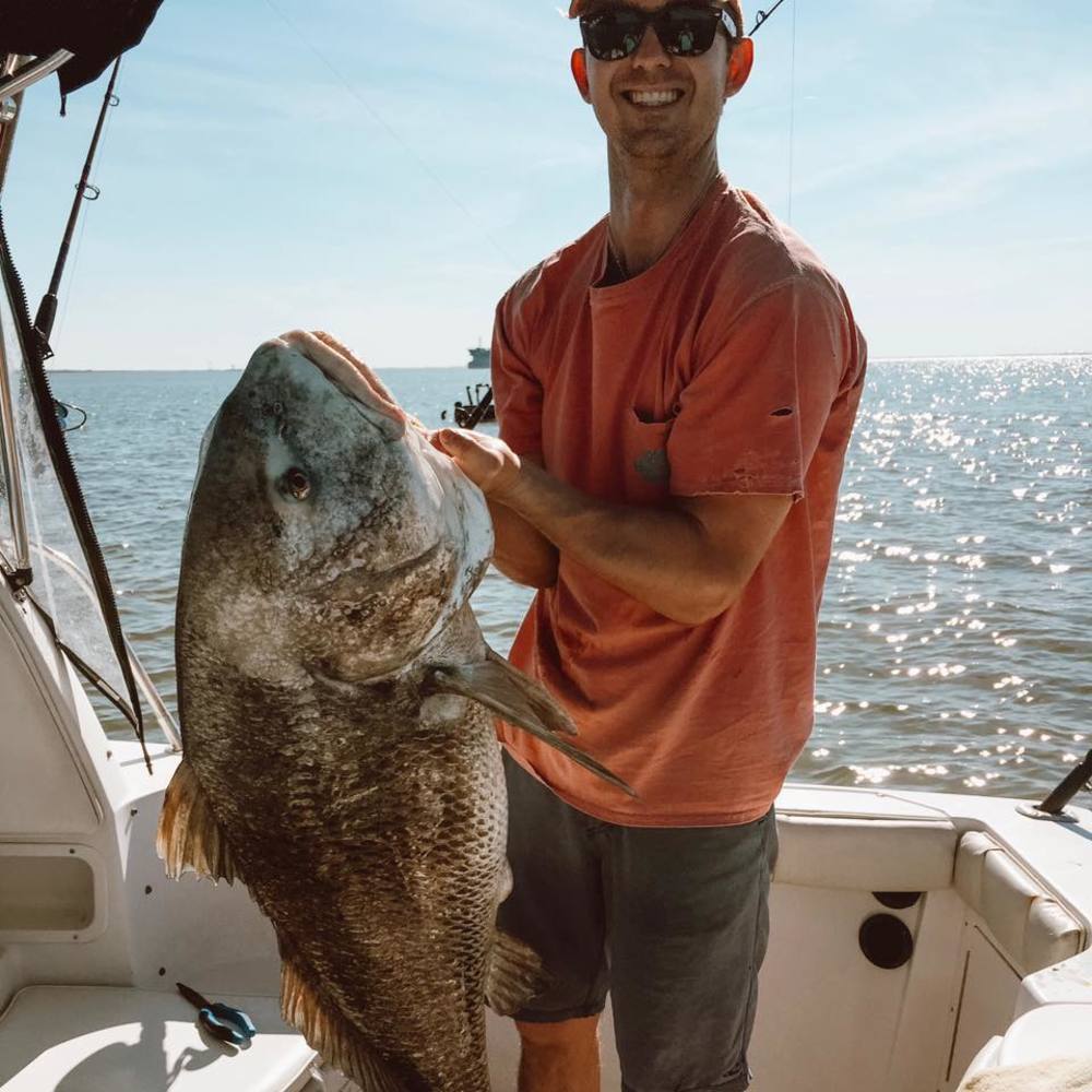 Meet your Posher, Hingle